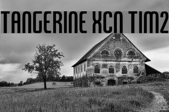 Tangerine XCn Tim2 Font examples