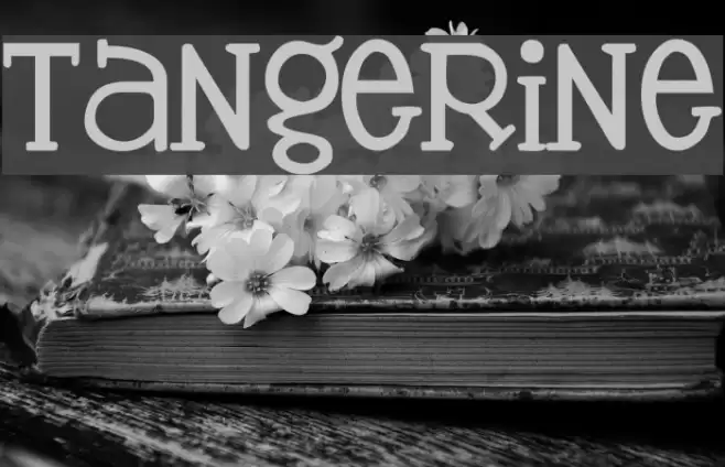 Tangerine Font examples