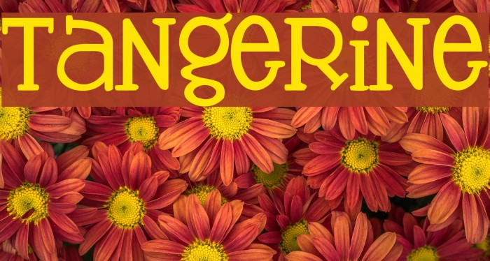 microsfot word tangerine font