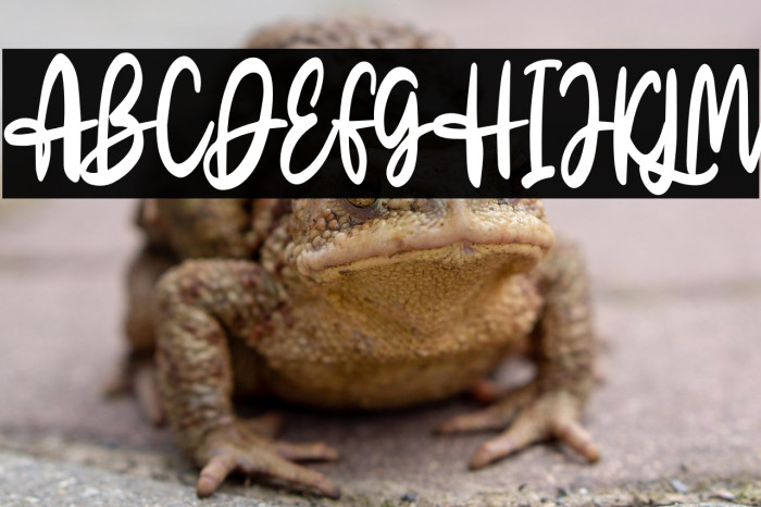 Tangisan Free Trial Example 2