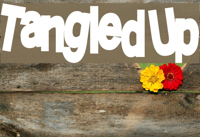 TangledUp Example 3