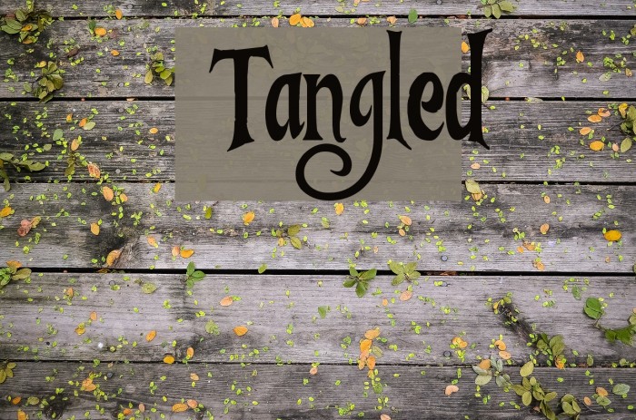 Tangled Polices examples