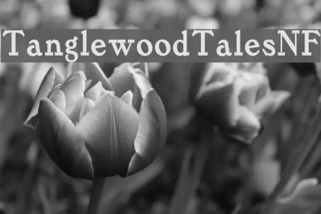 TanglewoodTalesNF Font examples