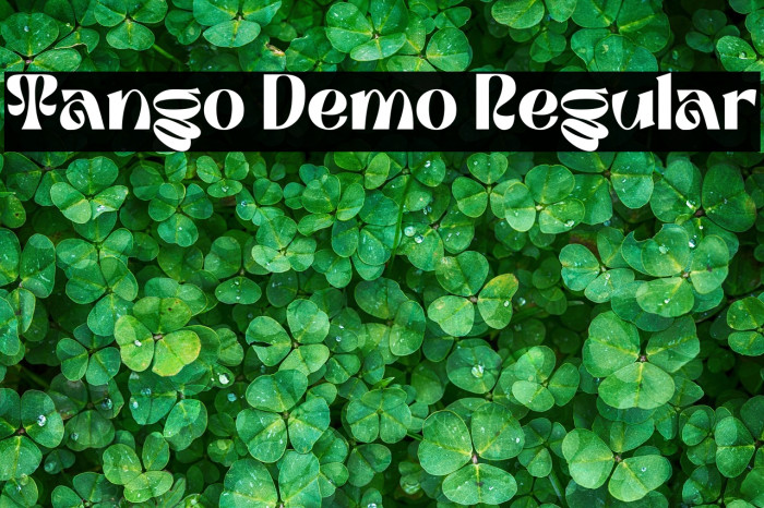 Tango Demo Regular Example 2