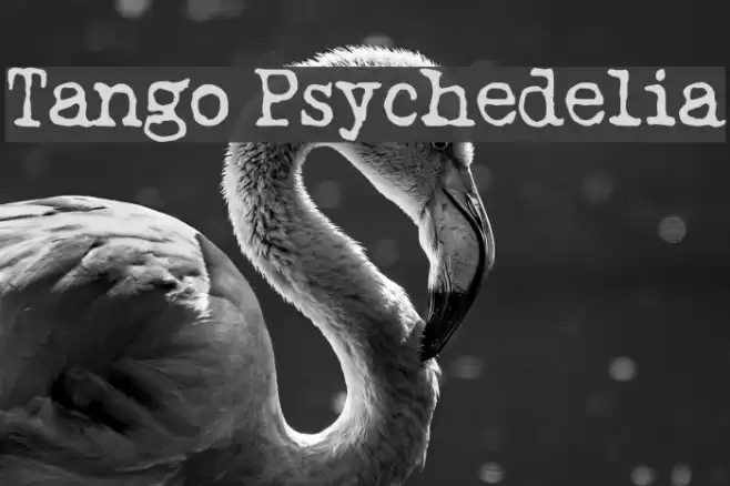Tango Psychedelia フォント examples