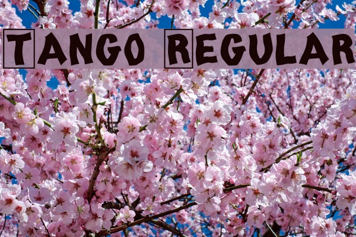 Tango Regular Font examples