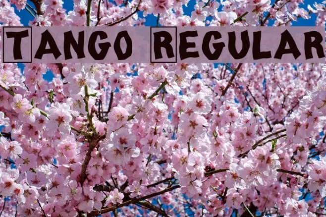 Tango Regular Example 2