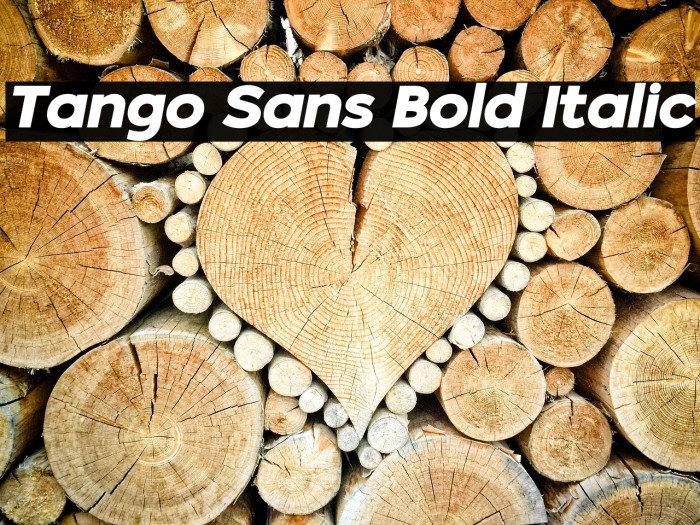 Tango Sans Bold Italic Example 1