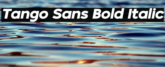 Tango Sans Bold Italic Example 2