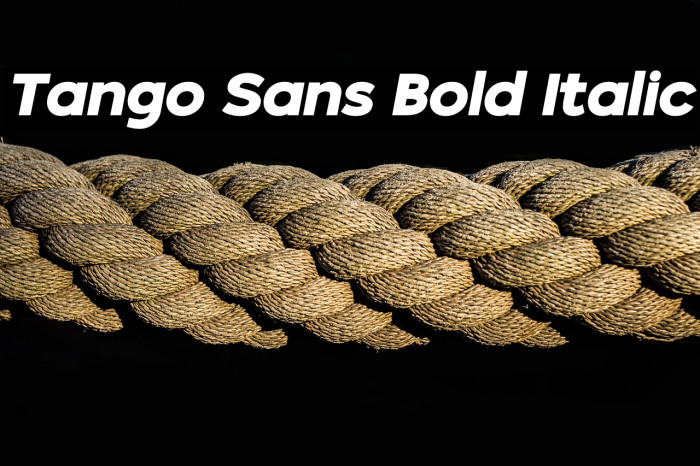 Tango Sans Bold Italic Example 3