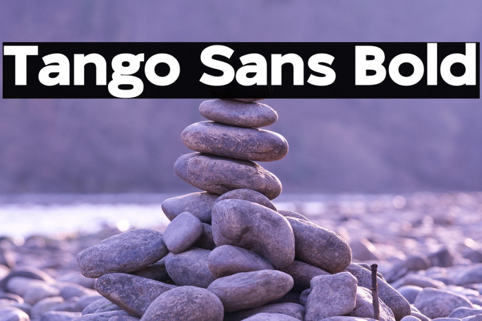 Tango Sans Bold Example 1