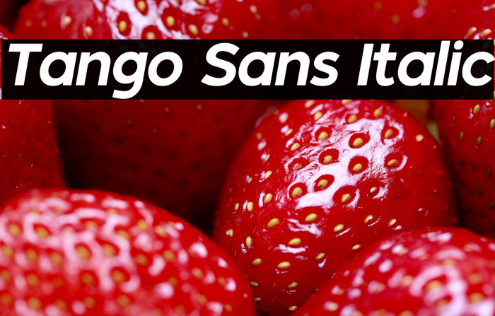 Tango Sans Italic Example 2