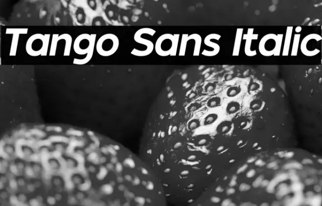 Tango Sans Italic Font examples