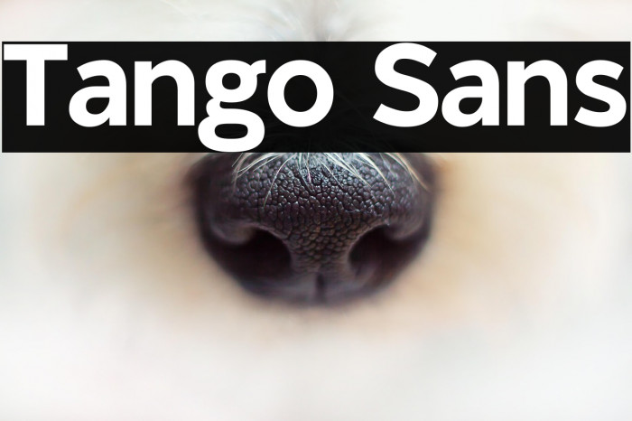 Tango Sans Example 2