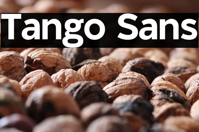 Tango Sans Example 3