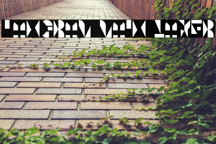 Tangram Main Layer Example 1