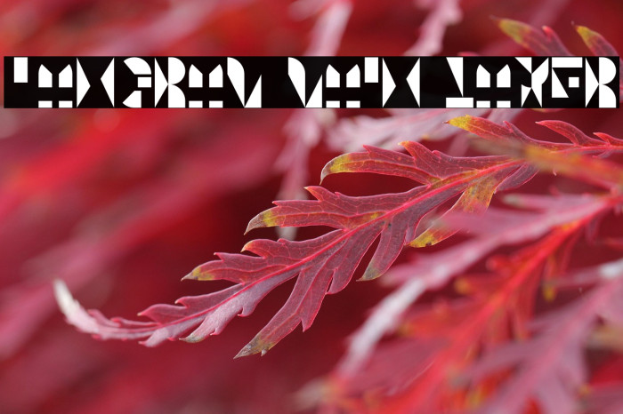 Tangram Main Layer Example 2