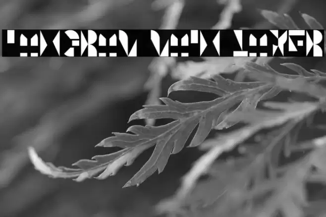 Tangram Main Layer Font examples