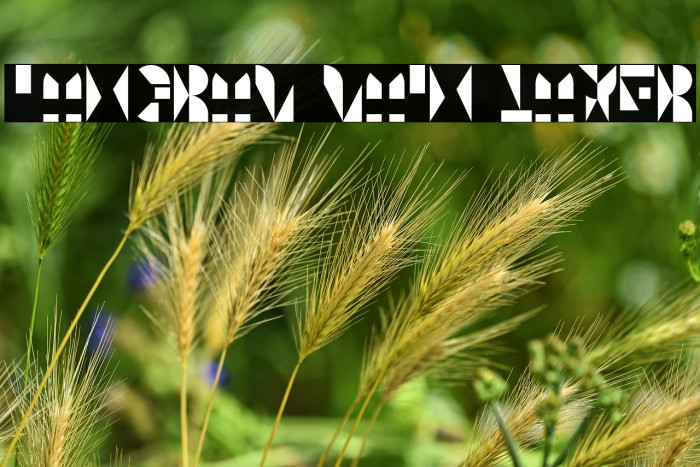 Tangram Main Layer Example 3