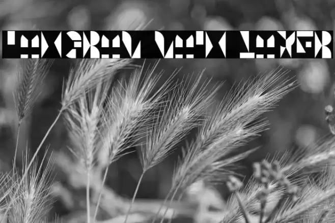 Tangram Main Layer Font examples