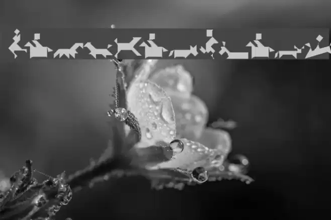 TangramBlack Font examples