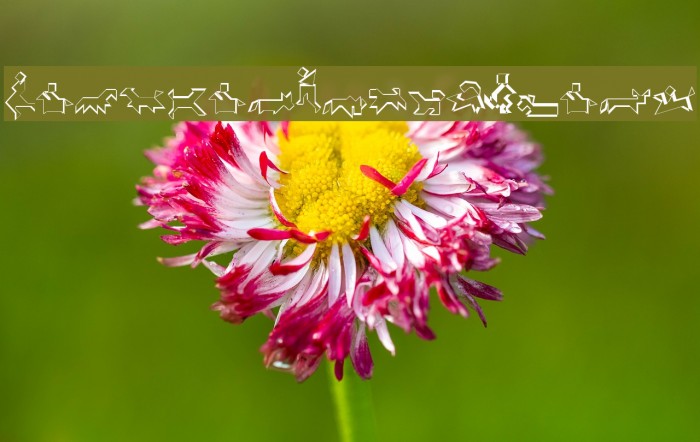 TangramWhiteBlack Example 2