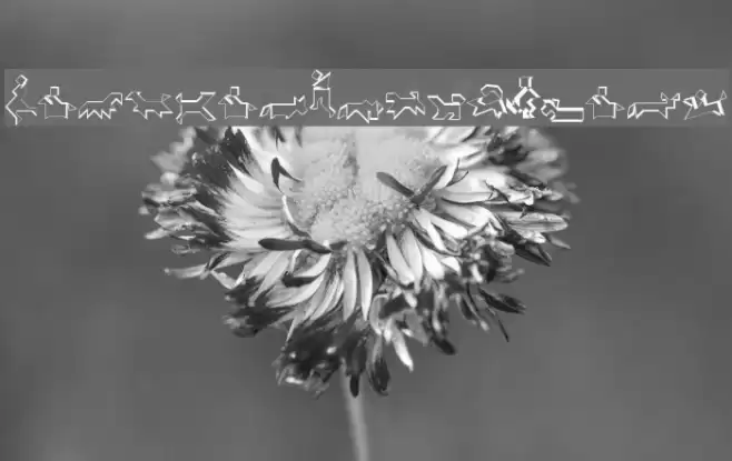 TangramWhiteBlack Font examples