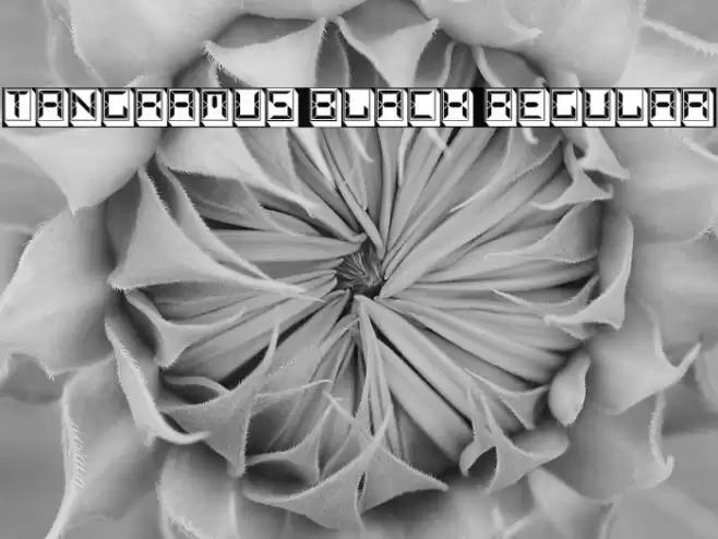 Tangramus Black Regular Fonte examples