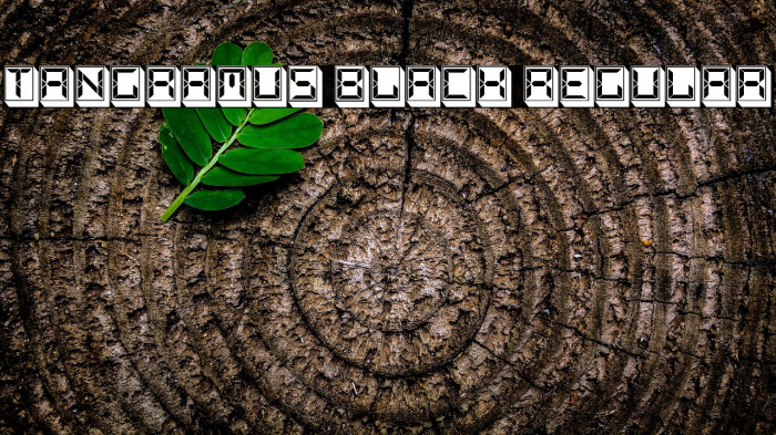 Tangramus Black Regular Example 2