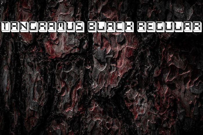 Tangramus Black Regular Example 3