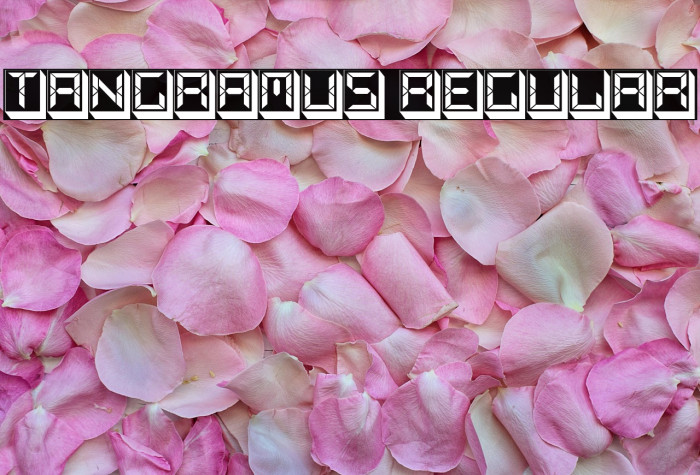 Tangramus Regular Example 1