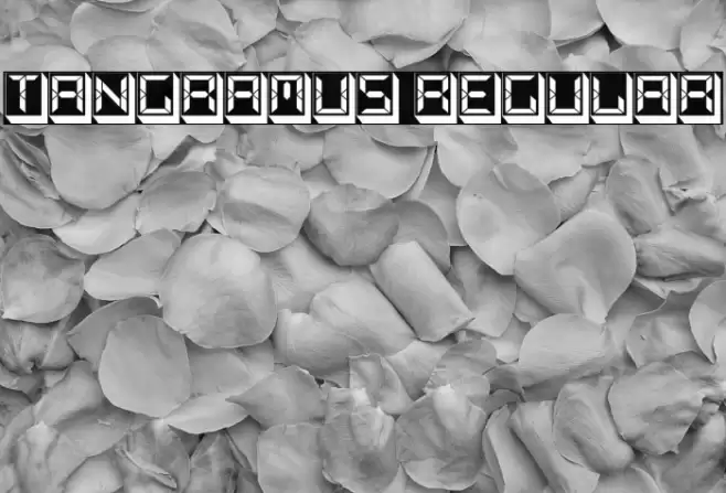 Tangramus Regular Polices examples