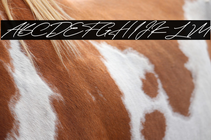 Taniya Relly Example 3