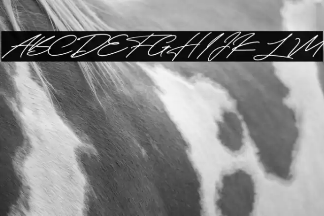 Taniya Relly Font examples