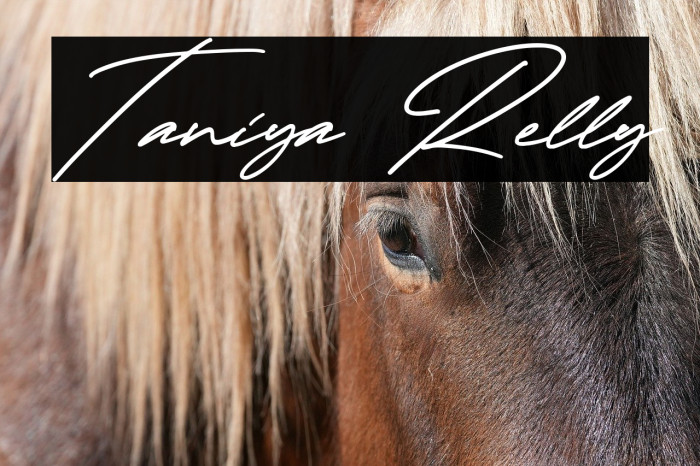 Taniya Relly Example 1