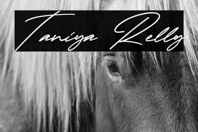 Taniya Relly Font examples