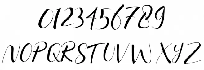 Taniya Script Font OTHER CHARS