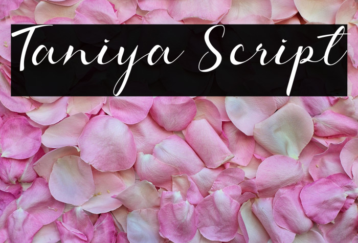Taniya Script Example 3