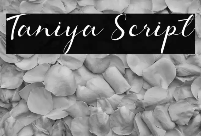 Taniya Script Font examples