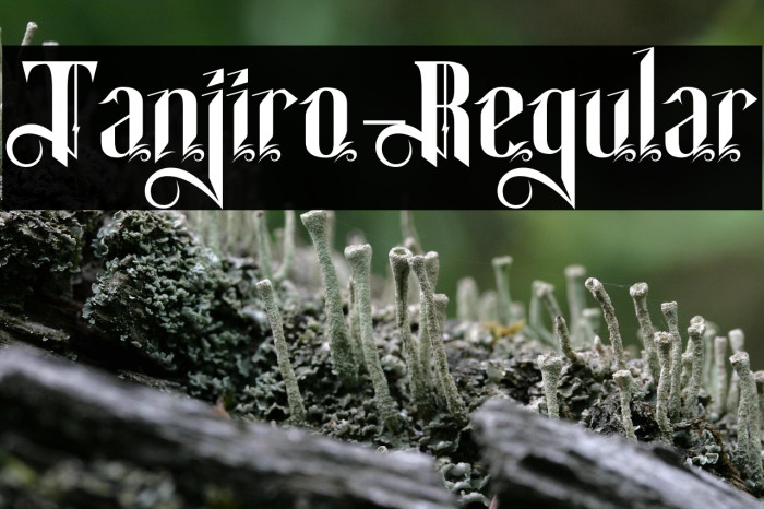 Tanjiro-Regular Example 2