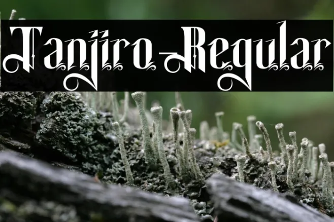 Tanjiro-Regular Example 2