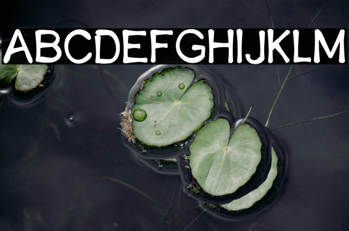 TanjungPriuk Example 2