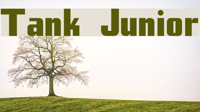 Tank Junior Font examples