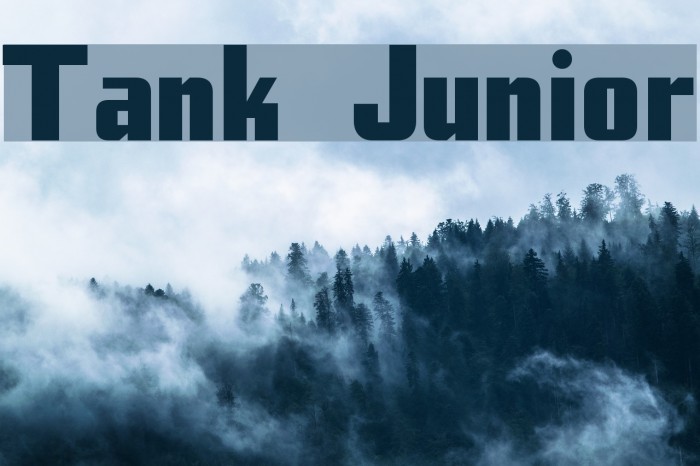 Tank Junior Font examples