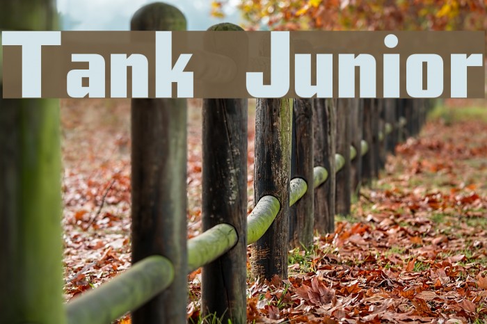 Tank Junior Font examples