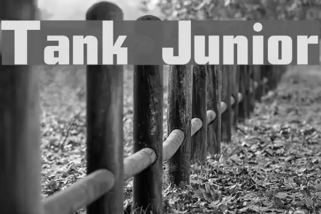 Tank Junior Caratteri examples