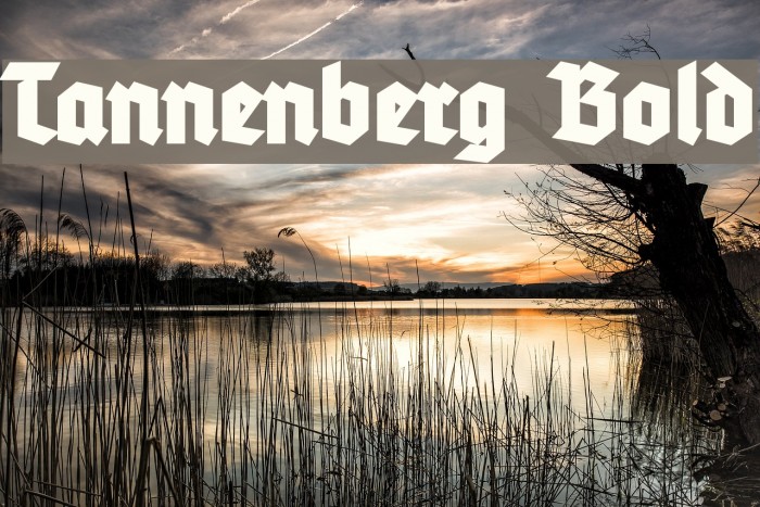Tannenberg Bold Font examples