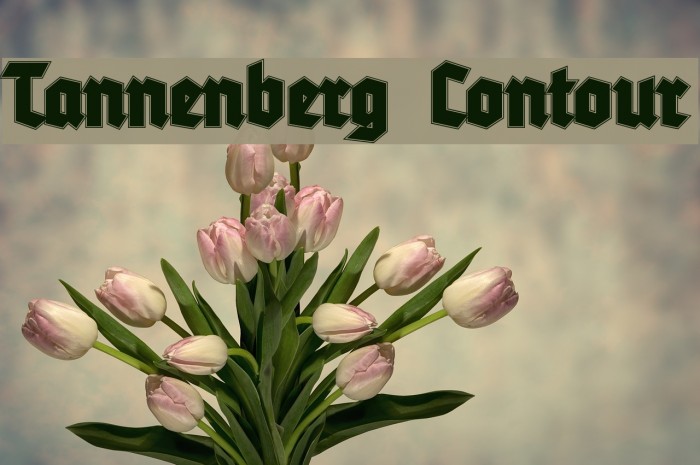 Tannenberg Contour Example 1