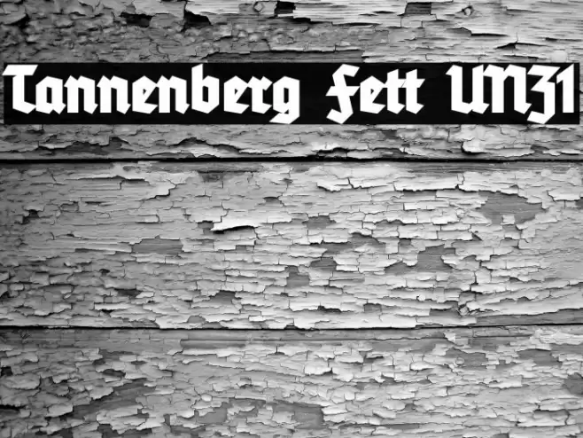 Tannenberg Fett UNZ1 Font examples
