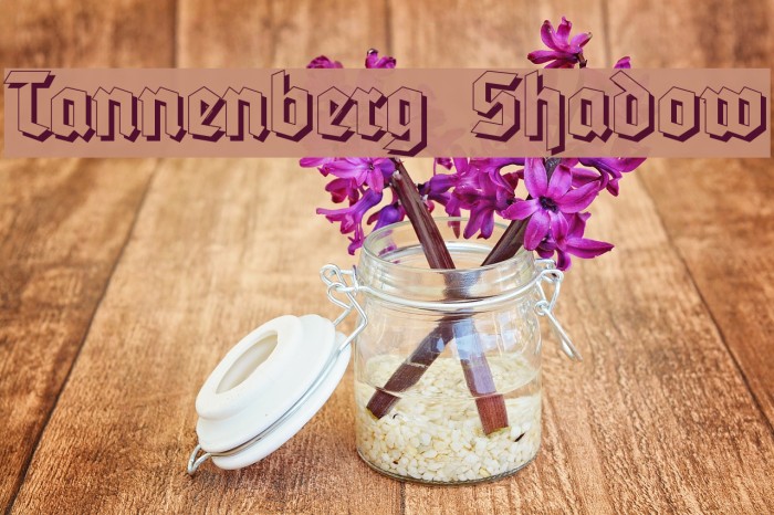 Tannenberg Shadow Font examples
